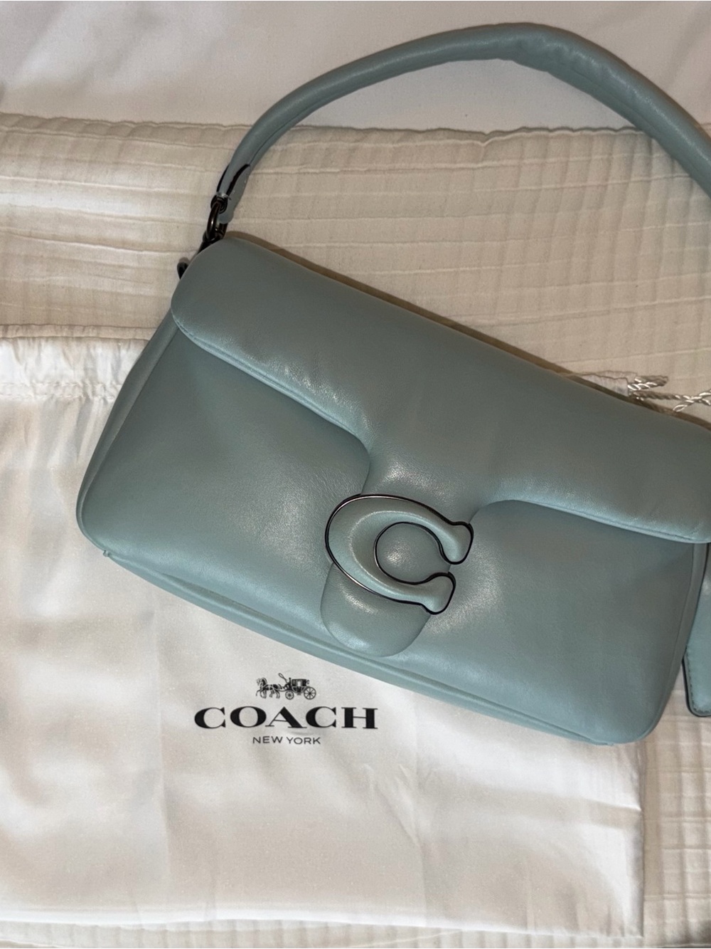 Coach Leather Shoulder Bag in Powder Blue ( Tabby )